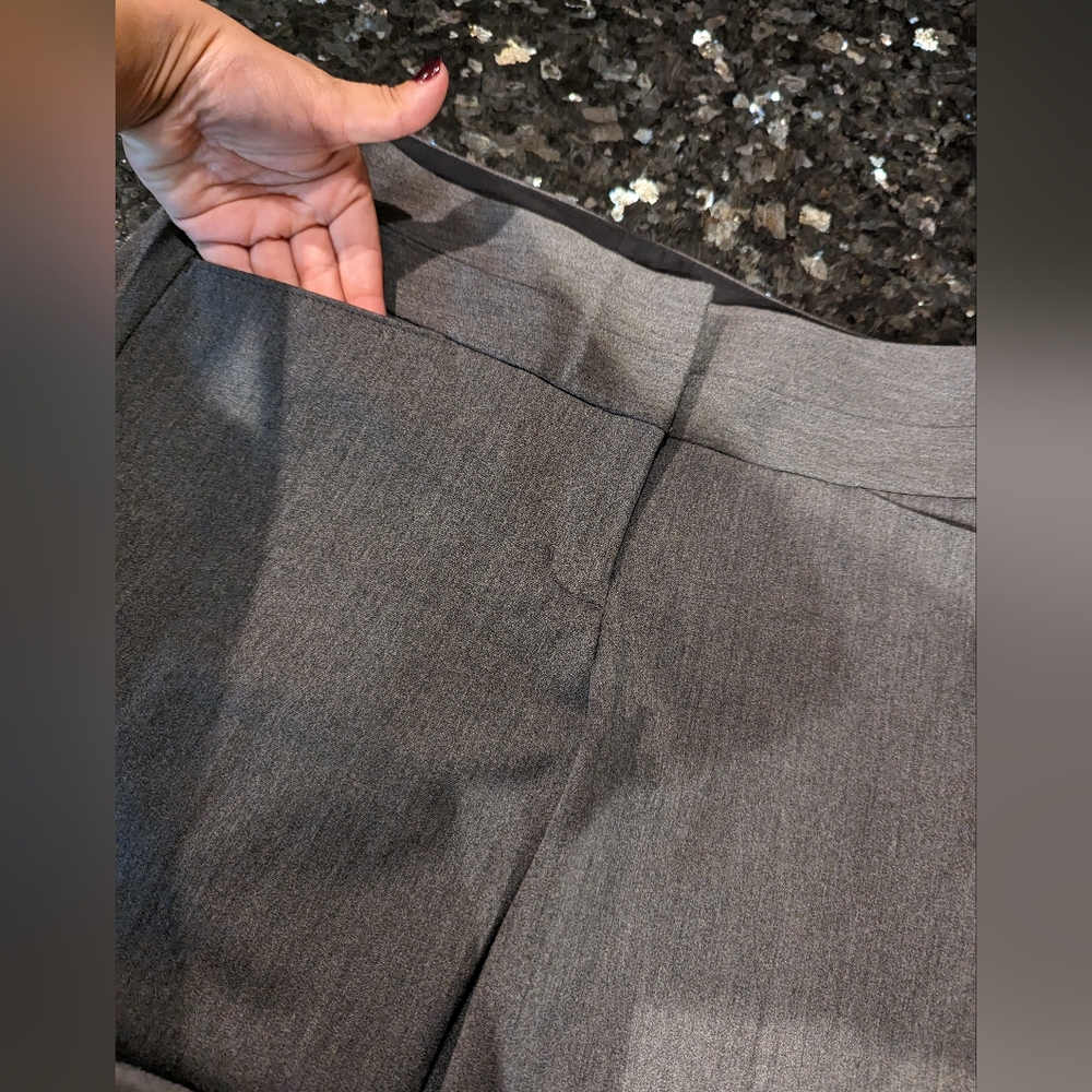 Express Dress Pants -4s
